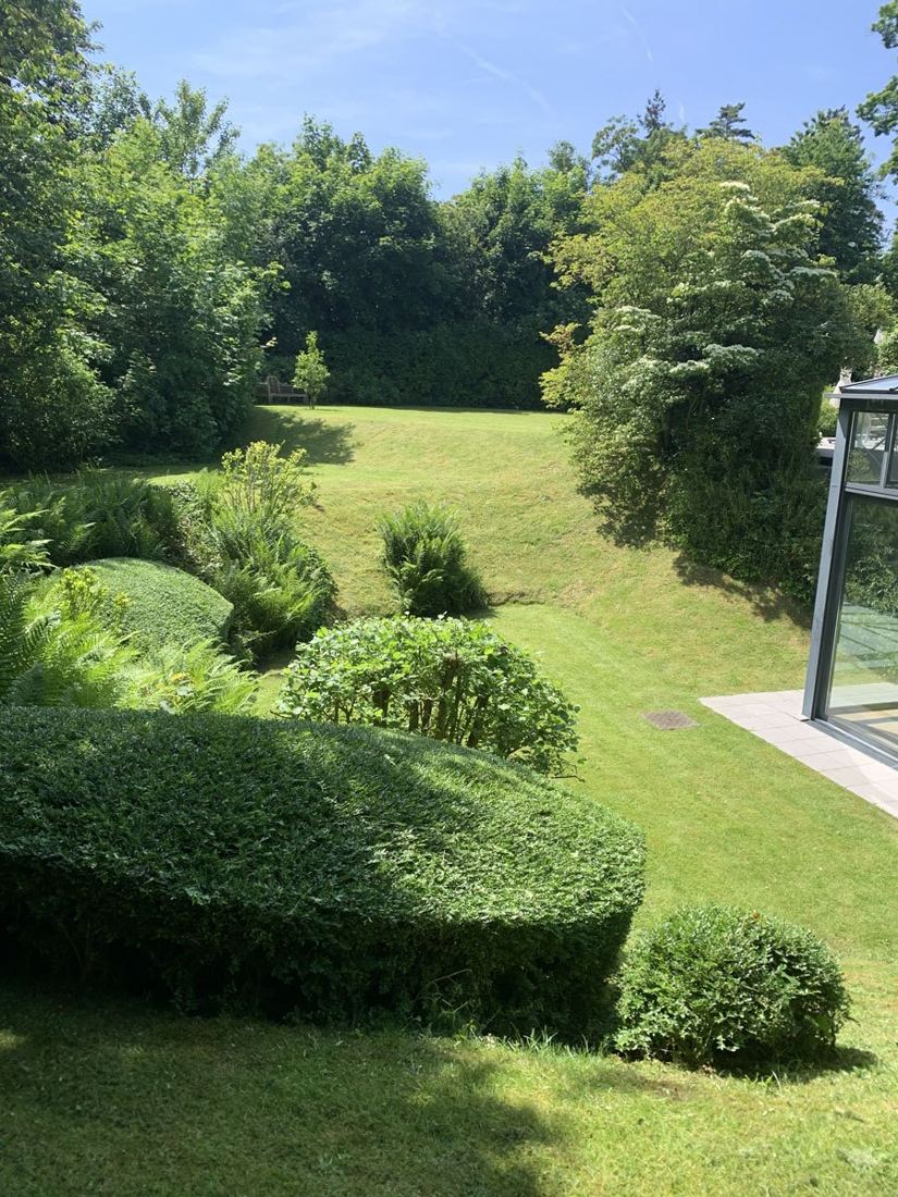 Haies sculptées et pelouse