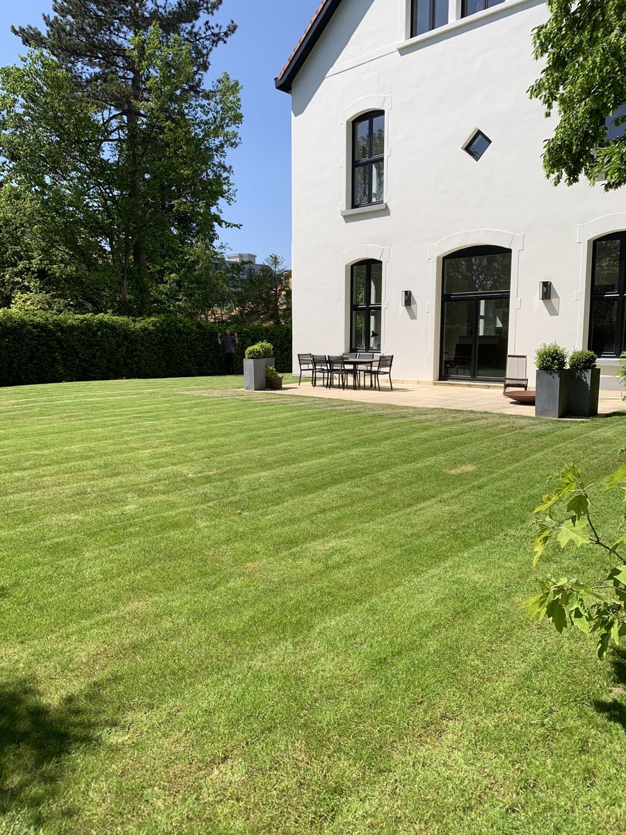 Pelouse entretenue par La Feuille d’Or devant une maison blanche