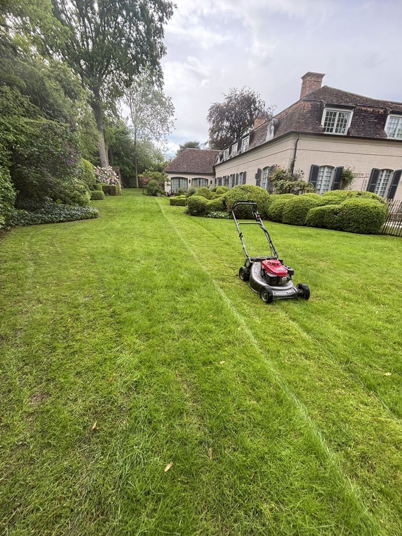 Pelouse tondue devant une maison
