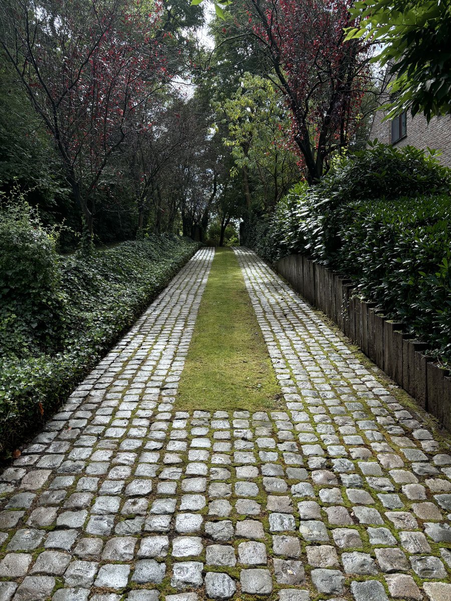 Allée pavée bordée de végétation
